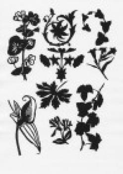 Blumen und Ornamente 1