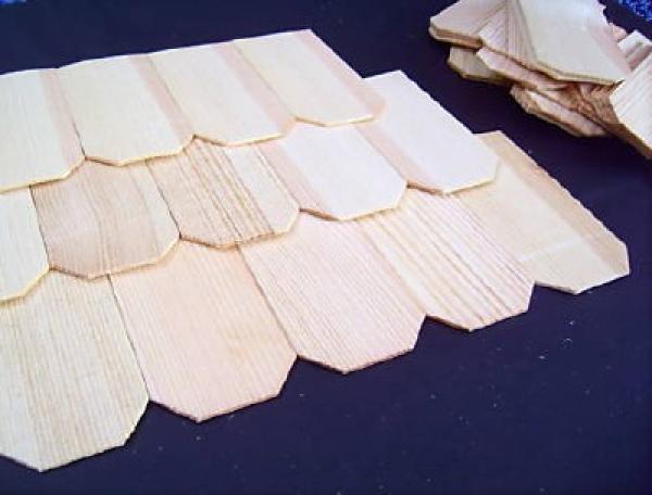 Holzschindeln-Kiefer